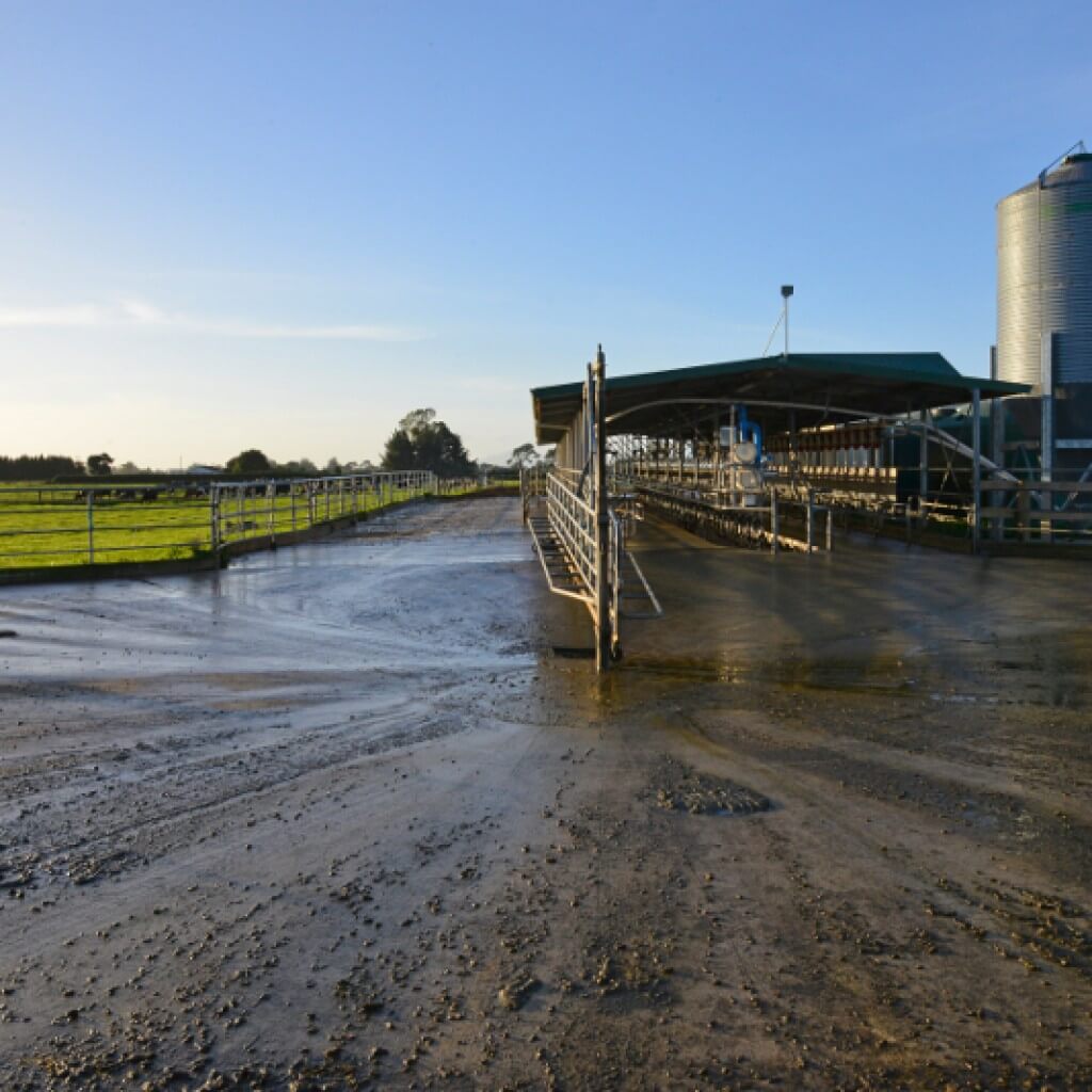 Forsi e-Force Effluent System Installation 3